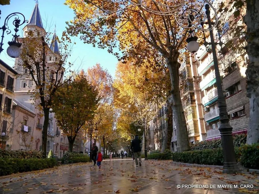 Center Wifi Parking Free Apartment Granada